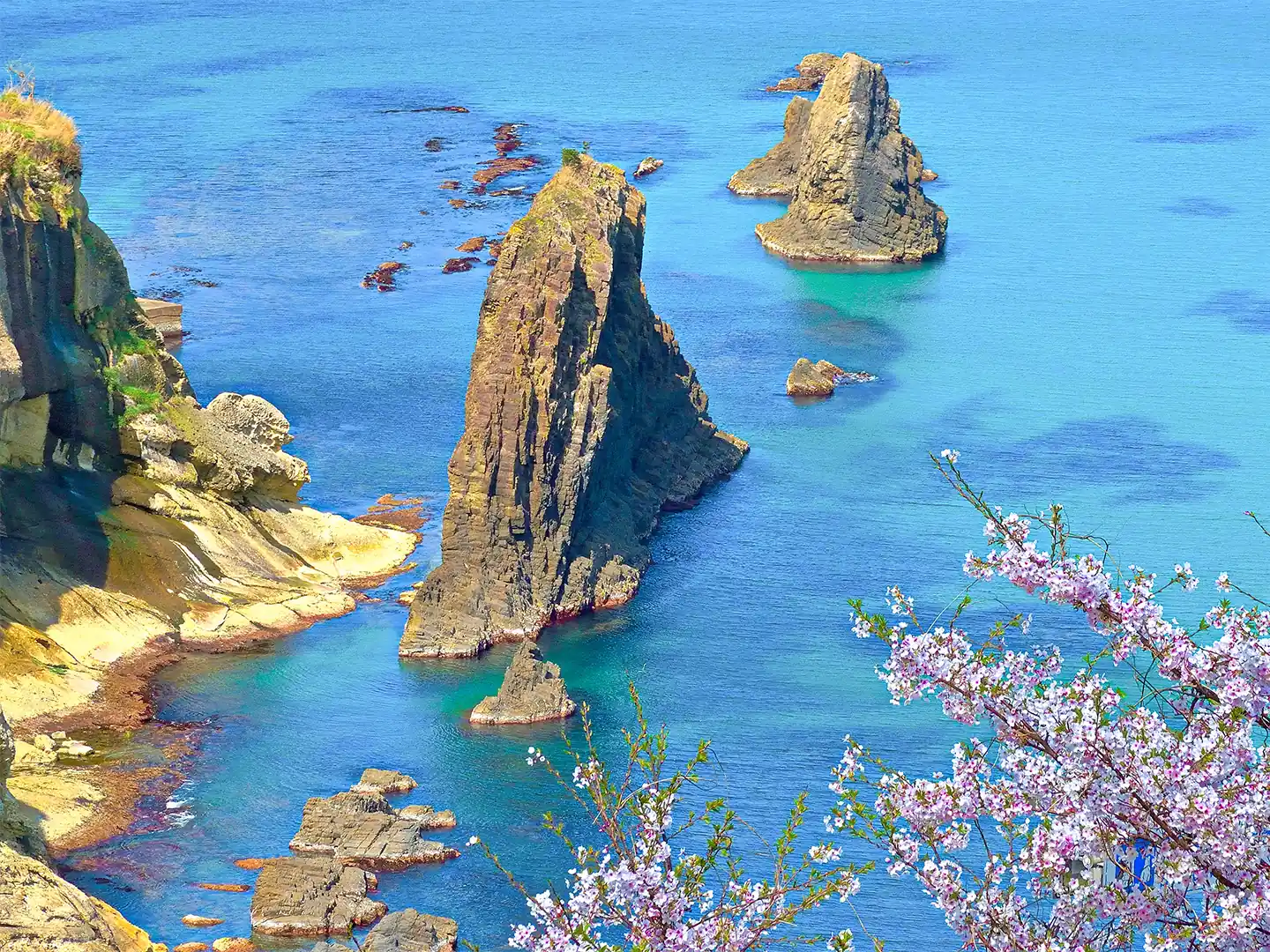 リブマックスリゾート京丹後シーフロント 公式サイト