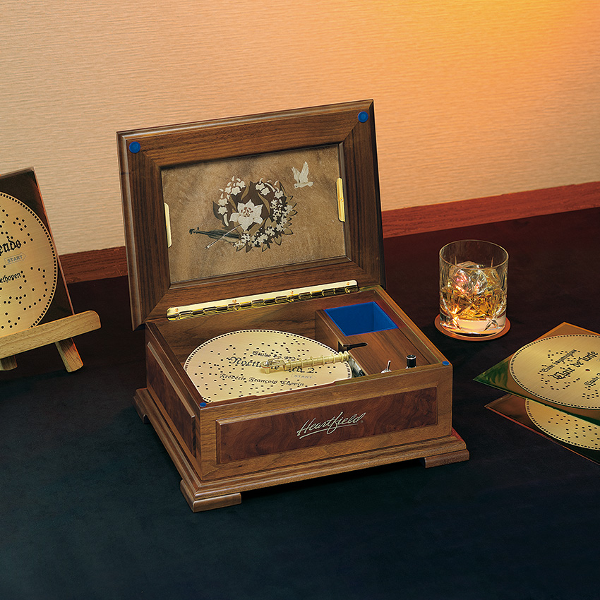 フジゲン 20弁ディスクオルゴールセット | ライトアップオンラインストア