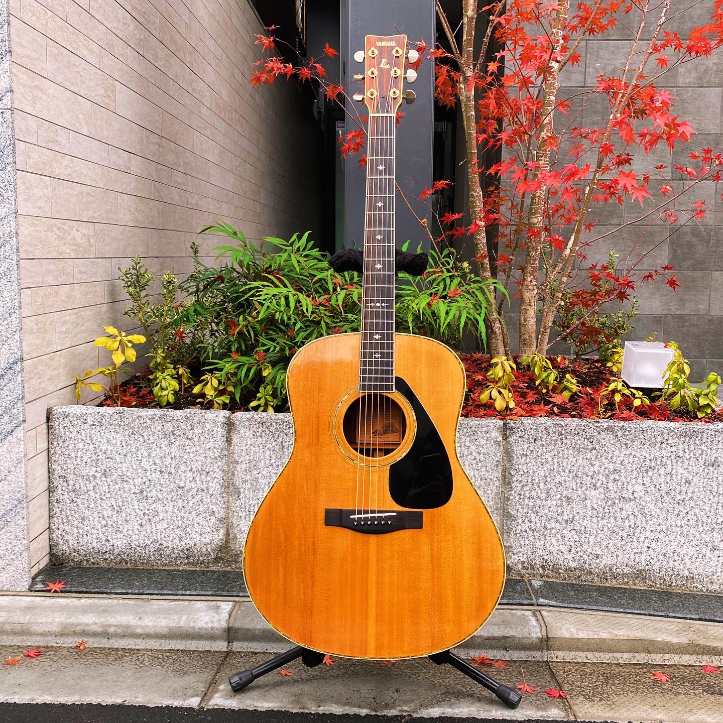 YAMAHA '92 LL-10D – 京町家のギターショップ ライトニン