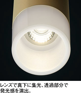 ODELIC オーデリック シャンデリア OC257196BR | 商品紹介 | 照明器具