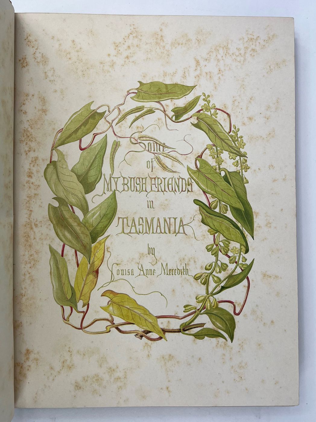 Shop - Lucius Books. Rare Books, First Editions, Signed copies in