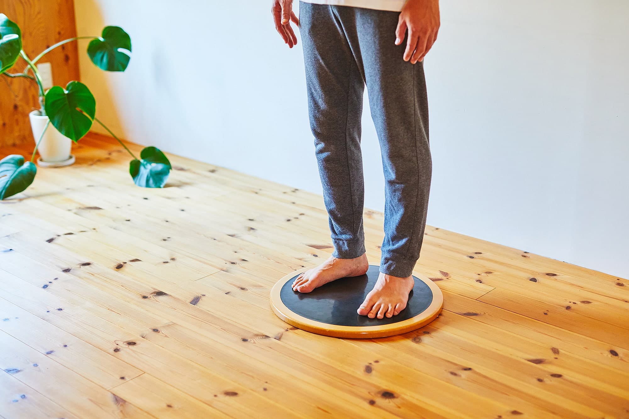 Kokoro Board（ココロのバランスボード）｜ - 公式オンラインショップ