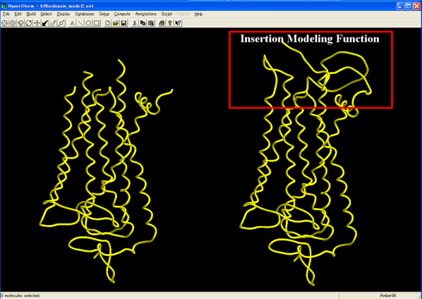 分子機能研究所|ホモロジーモデリングプログラム|Homology Modeling
