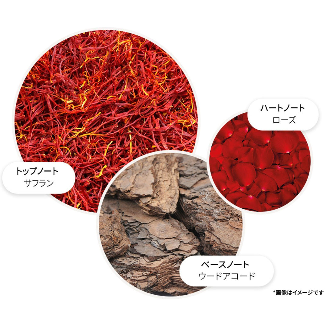 ローズデューン ボディローション 300ml – MOLTON BROWN