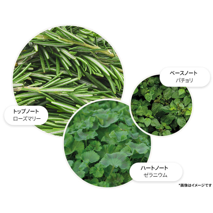 リヴァイヴィング ローズマリー ボディ＆ヘア ギフトセット 300ml×3