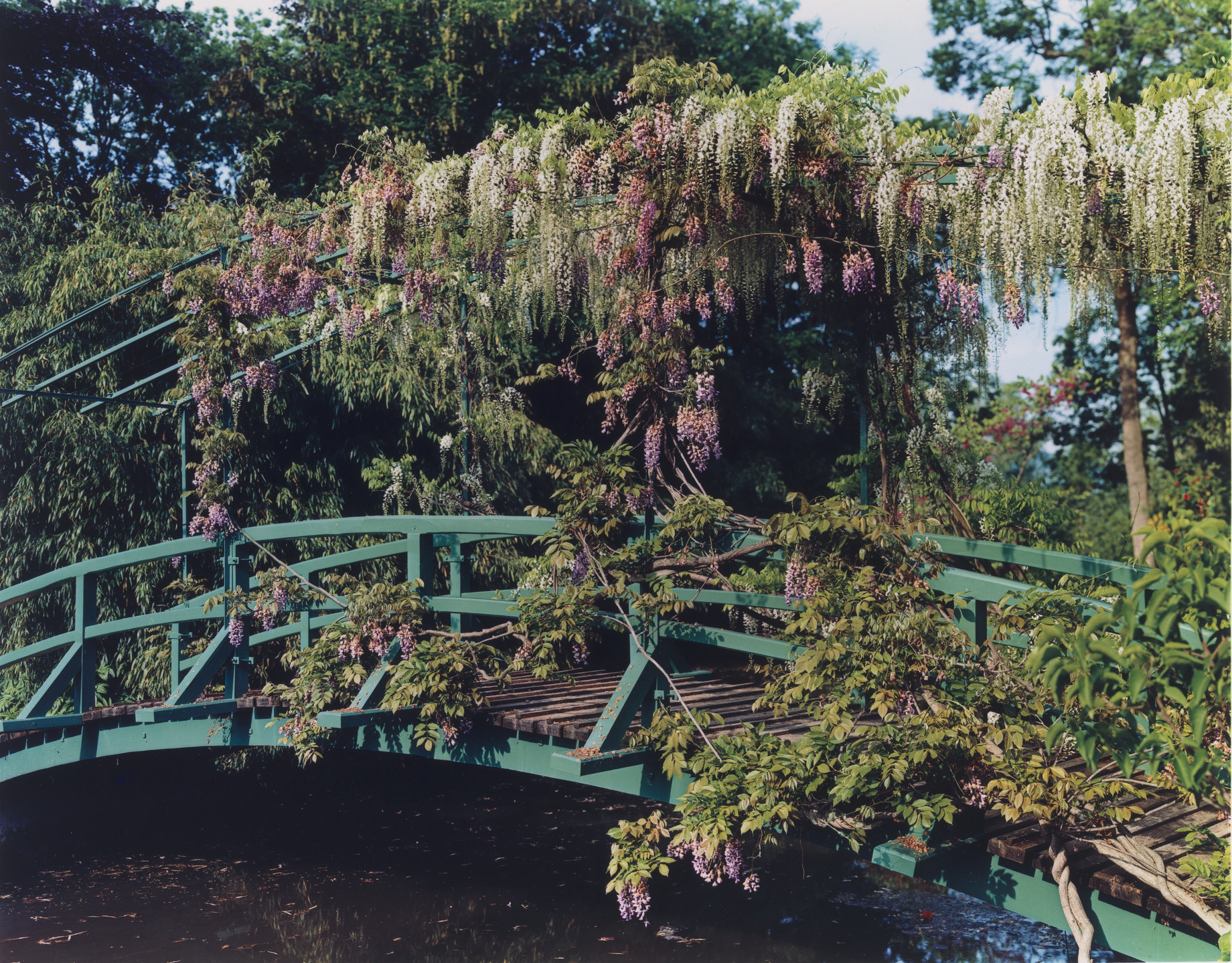 Stephen Shore. The Gardens at Giverny. 1977–1982 | MoMA