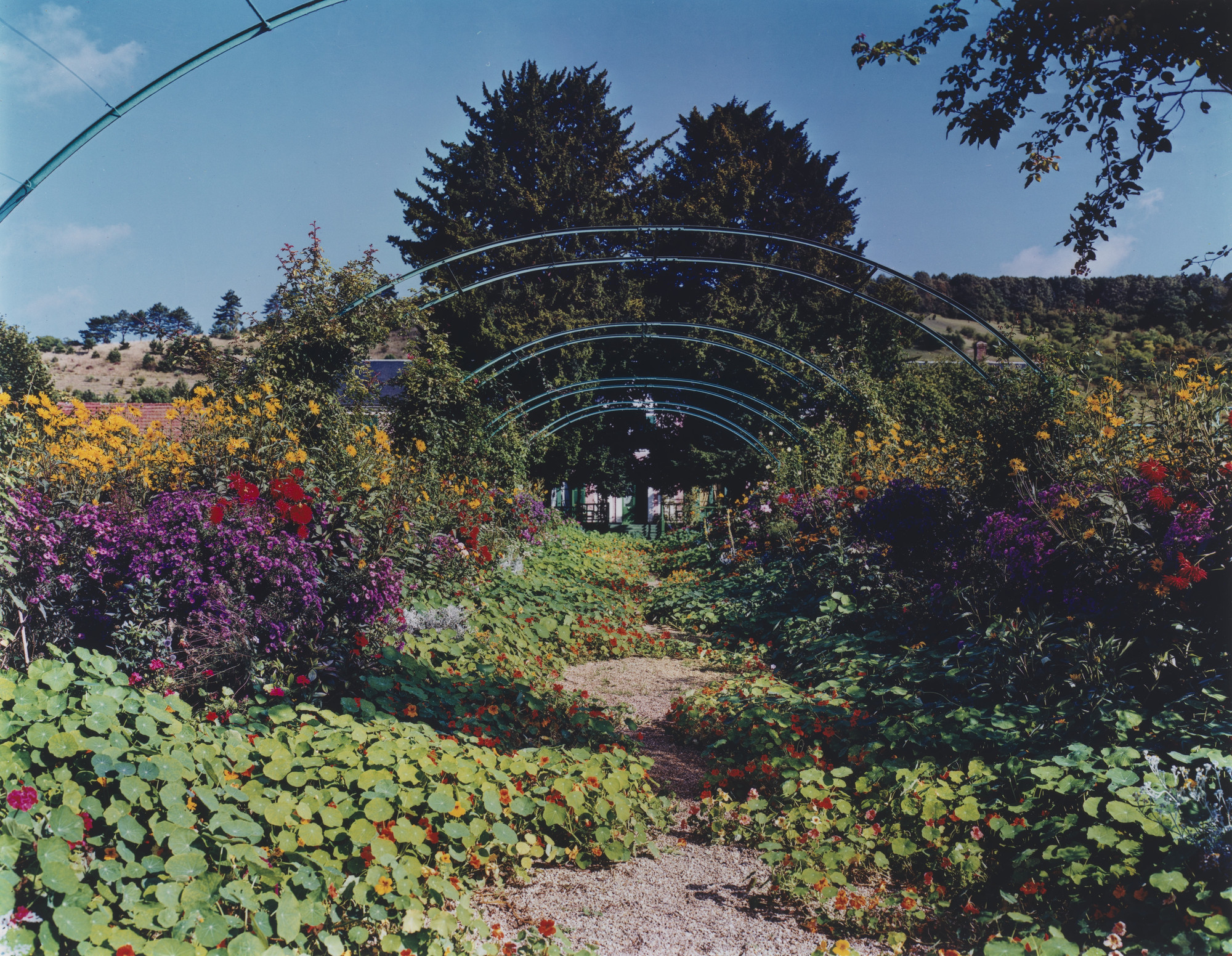 Stephen Shore. The Gardens at Giverny. 1977–1982 | MoMA