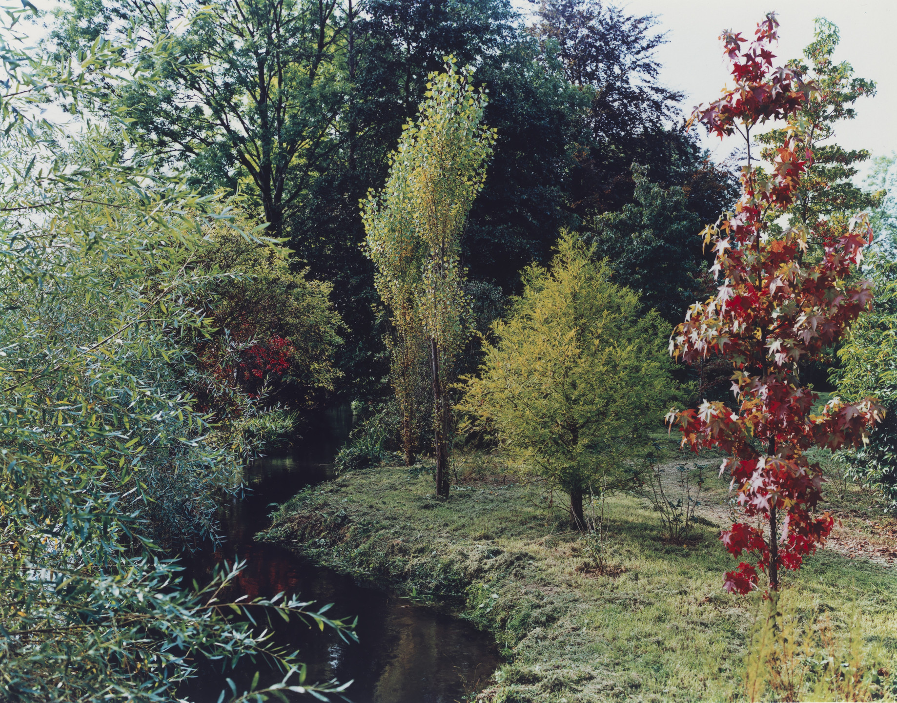 Stephen Shore. The Gardens at Giverny. 1977–1982 | MoMA