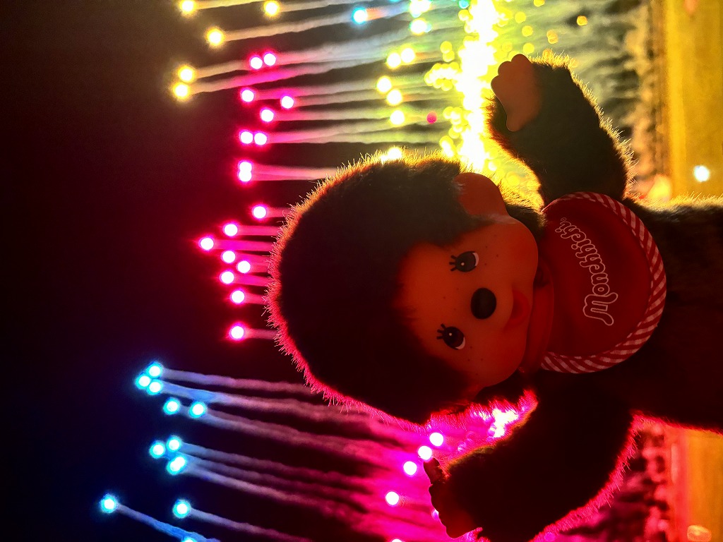 モンチッチがレポート☆】葛飾納涼花火大会に行ってきたモン