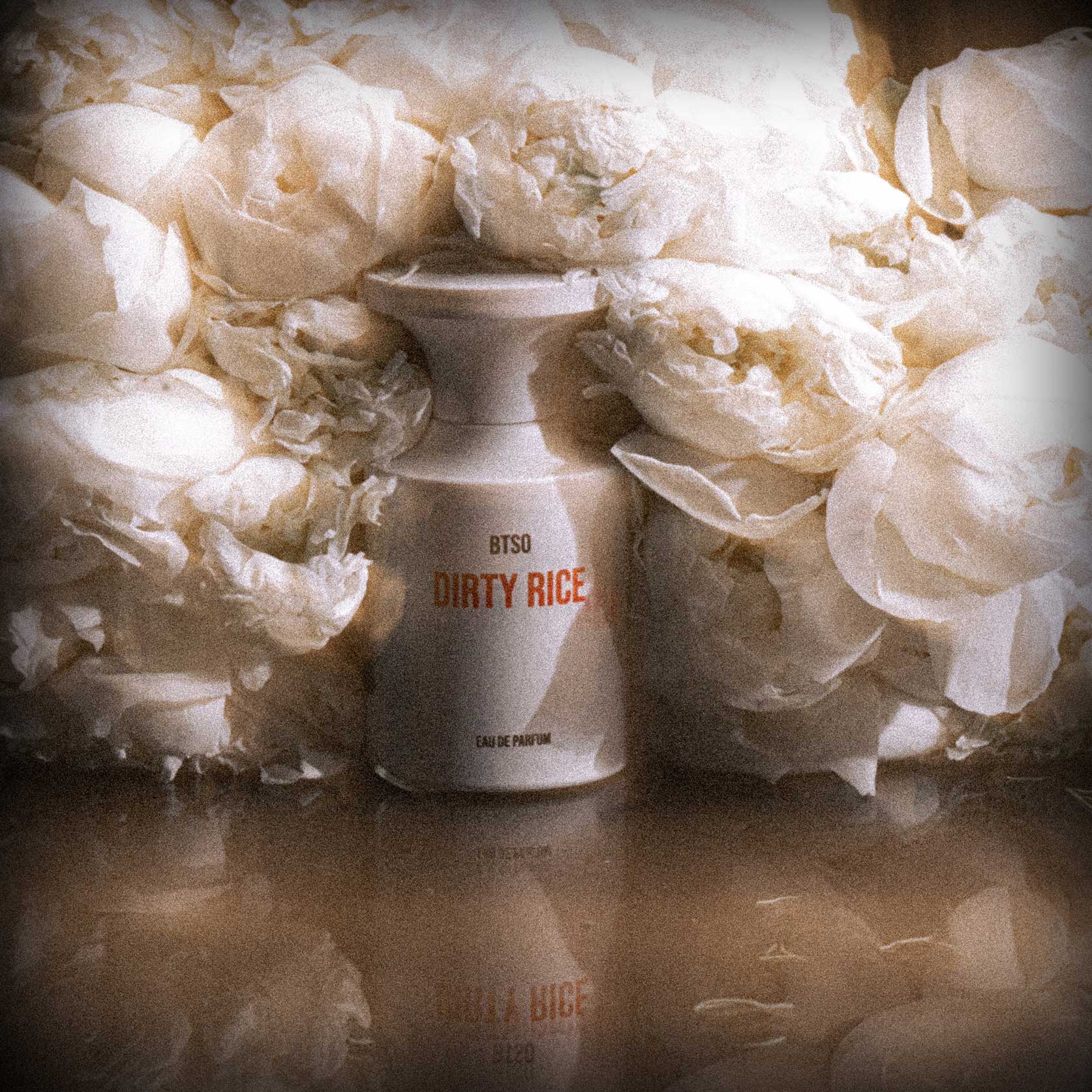 DIRTY RICE by BORNTOSTANDOUT