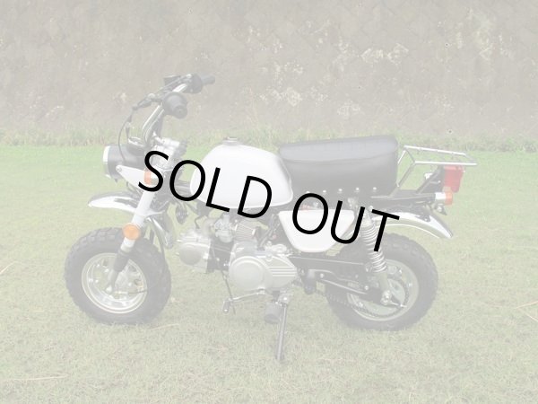 キットバイクTYPE－TN・ホワイト90ccエンジン搭載 新品