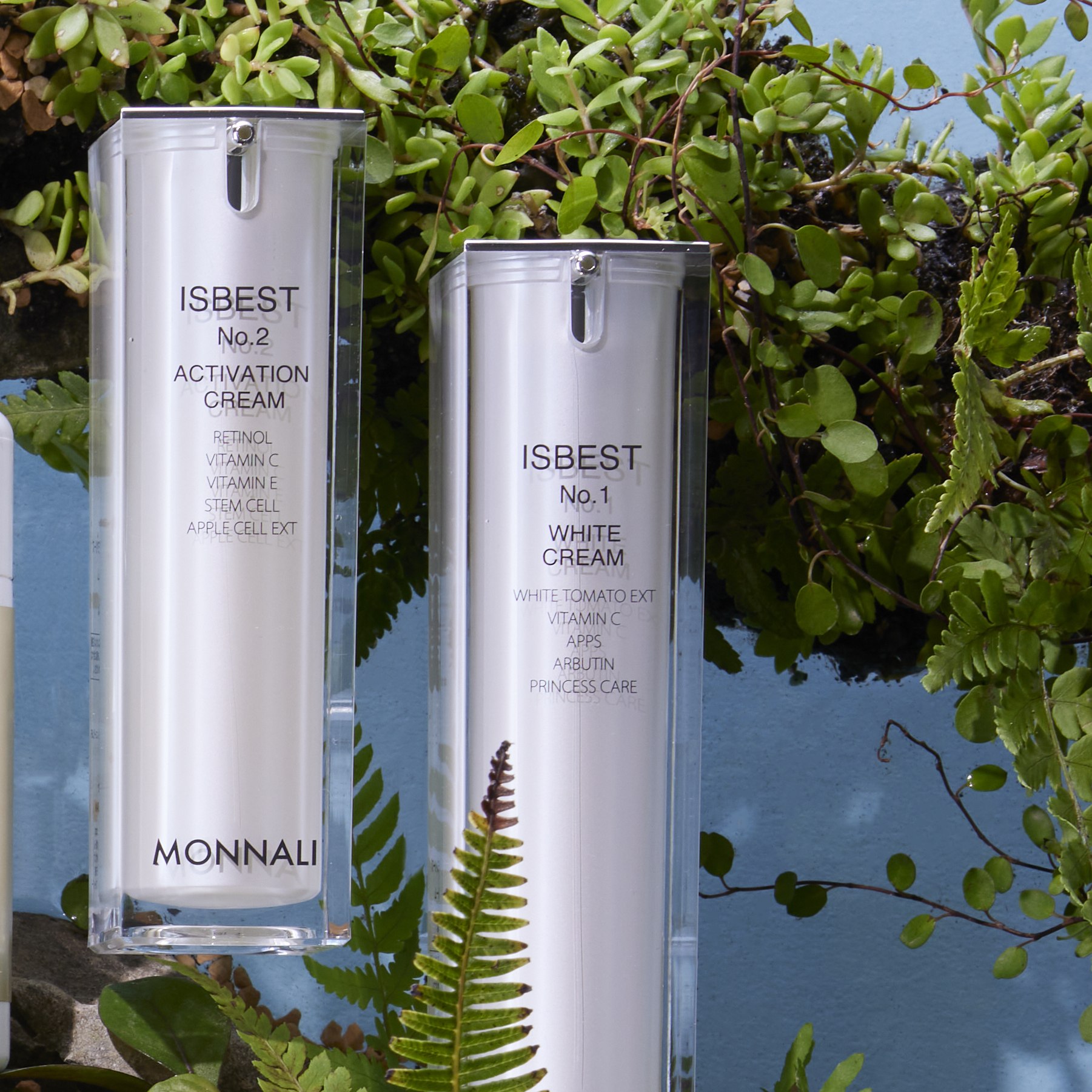 MONNALI公式 | 東洋医学×エステの融合。結果を追求するスキンケア