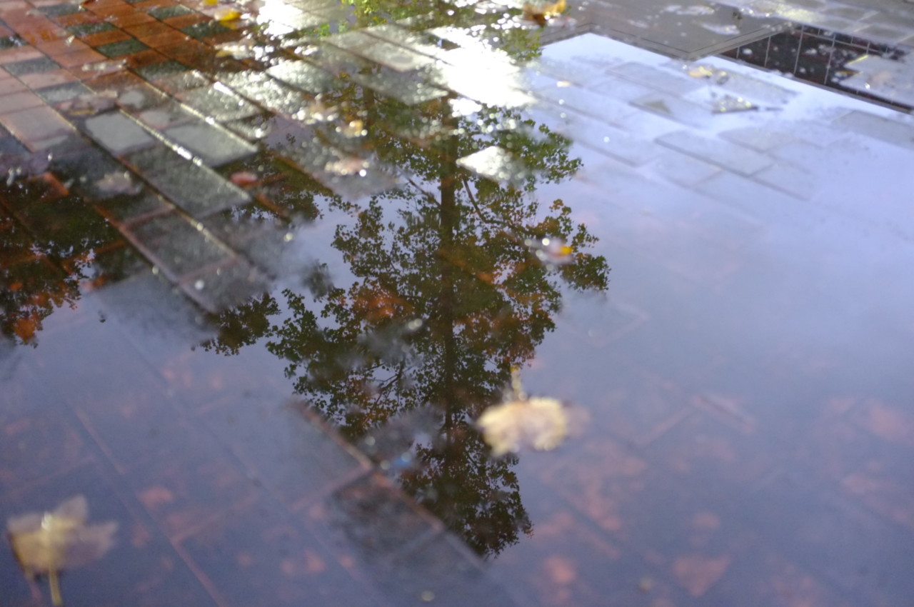 発売から10年。お洒落過ぎるコンデジ「FUJIFILM X100」は現役バリバリ