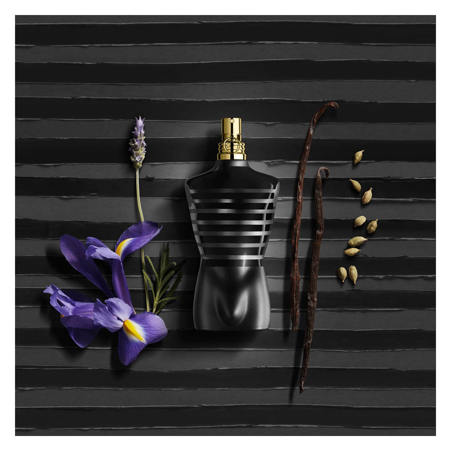 Jean Paul Gaultier Le Male Le Parfum