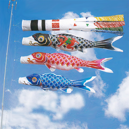 鯉のぼり【熊本店】 / かなめ鯉(6M/5M/4M/3M)