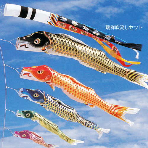 鯉のぼり【熊本店】 / シルクタッチ江戸錦鯉(5M/4M/3M)