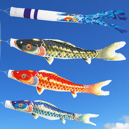 鯉のぼり【熊本店】 / 天華錦鯉(5M/4M)