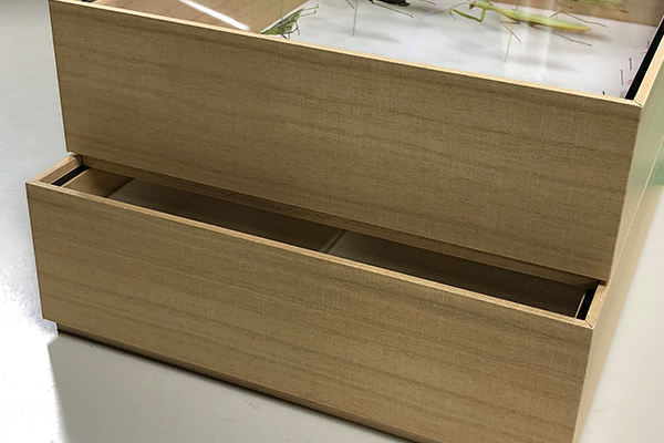 紙製標本箱 SFスタックケース | もりや産業株式会社