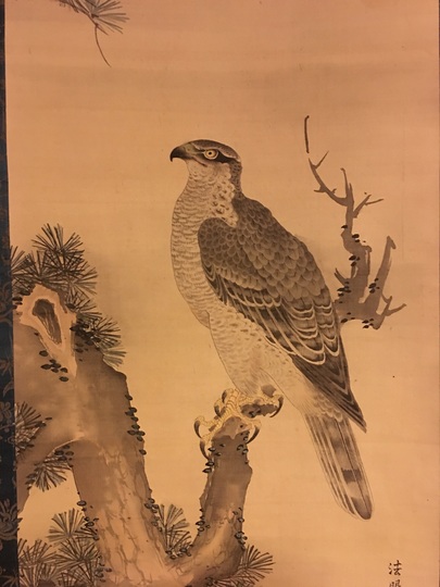 森周峰 松鷹図｜古美術・掛け軸の販売・買取・鑑定-松本松栄堂