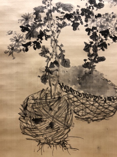 木下逸雲 墨菊図｜古美術・掛け軸の販売・買取・鑑定-松本松栄堂