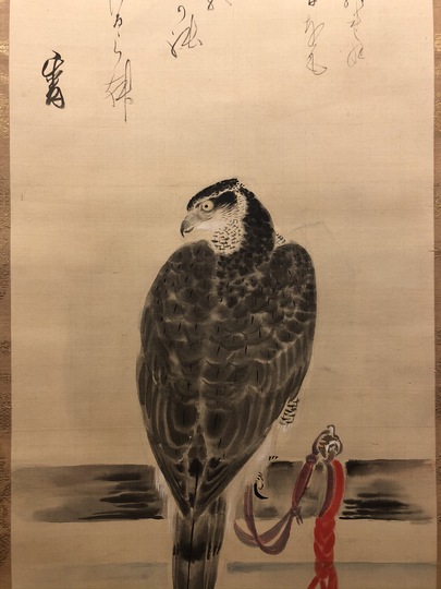 狩野伊川院栄信 鷹図｜古美術・掛け軸の販売・買取・鑑定-松本松栄堂
