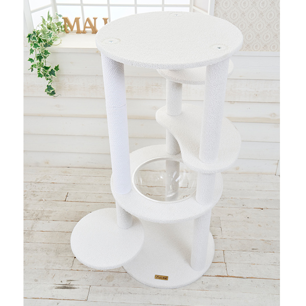 2024新作第2弾】新作ビアンカについて（7月10日更新） キャットタワー