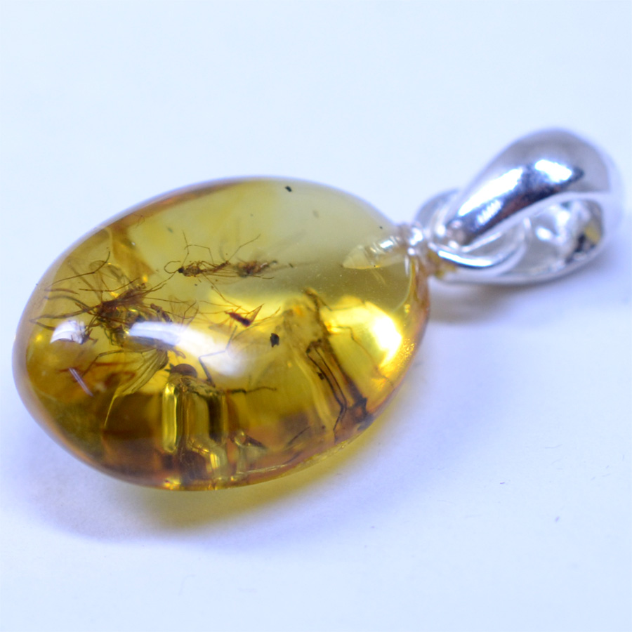 蚊入り 琥珀 | 革ジャンのマックス・ケイディ