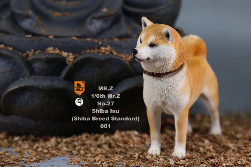 Shiba Inu Dog (Beige) Mr Z - Machinegun