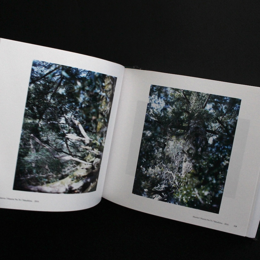 いつも世界は遠く、/ From the Hip - 上田 義彦 / Yoshihiko Ueda