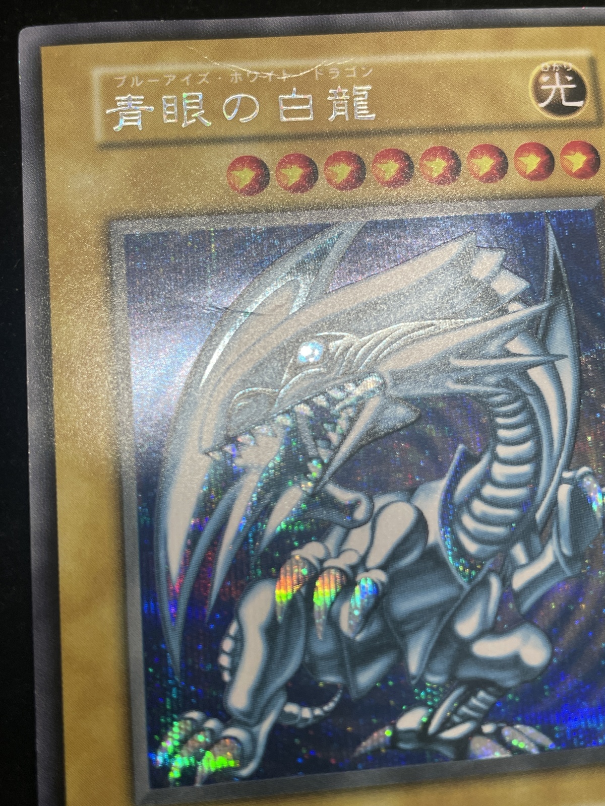 状態C】青眼の白龍 (初期) [シークレット] {-} - magi通販【遊戯王