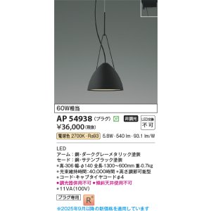 コイズミ照明 AP53982 ペンダント 非調光 LED一体型 電球色 プラグ