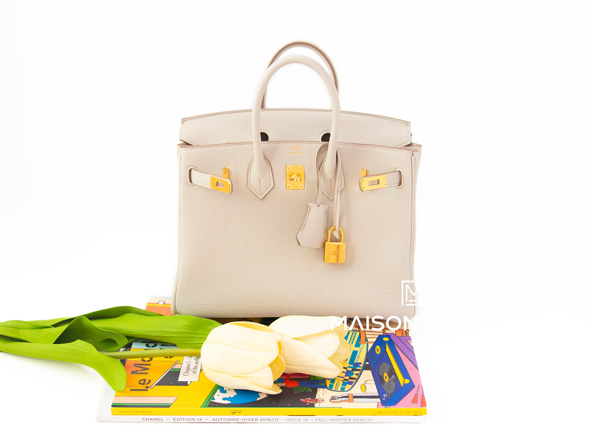 Hermes Birkin 25 Beton 8L Togo Gold Hardware Bag – MAISON de LUXE