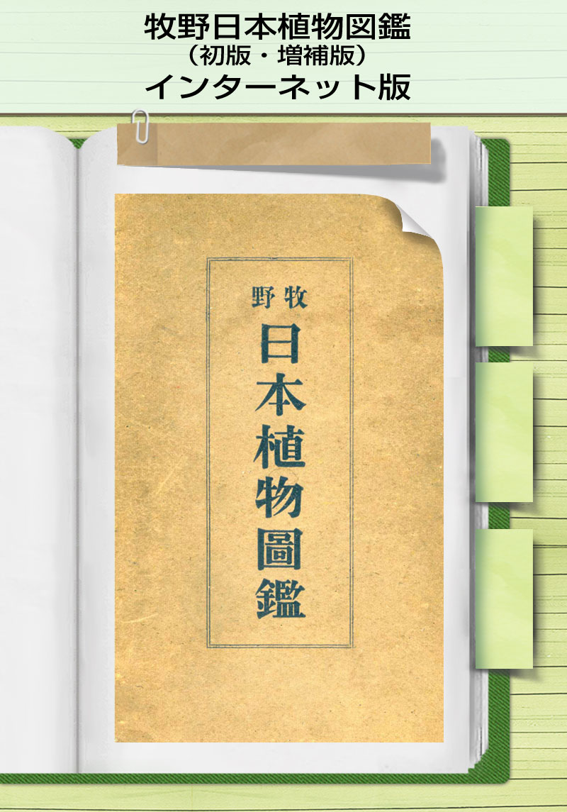 牧野日本植物図鑑｜ 高知県立牧野植物園 THE KOCHI PREFECTURAL MAKINO
