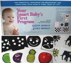 ドッツカードの説明,中古販売,買取,リサイクル(家庭保育園日学式右脳