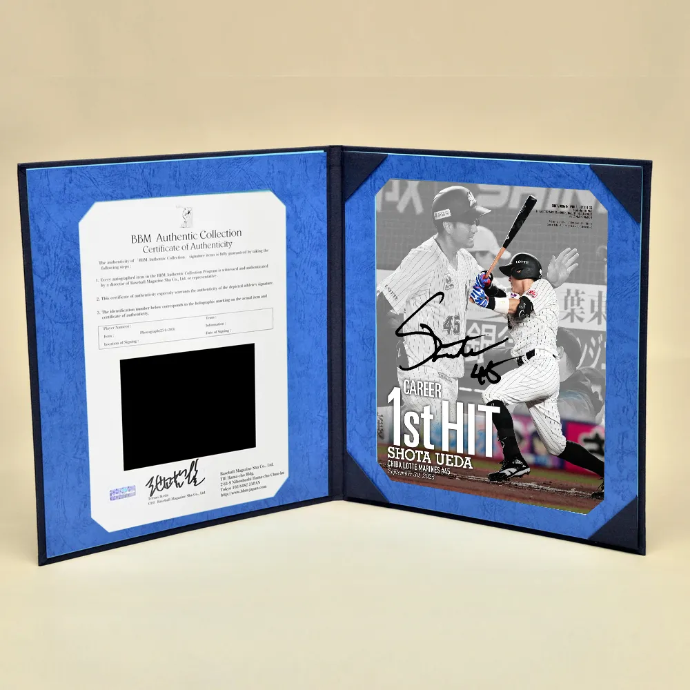 ロッテ ロボパルチャットバードだいちゃん＆当選通知書 ロボパル