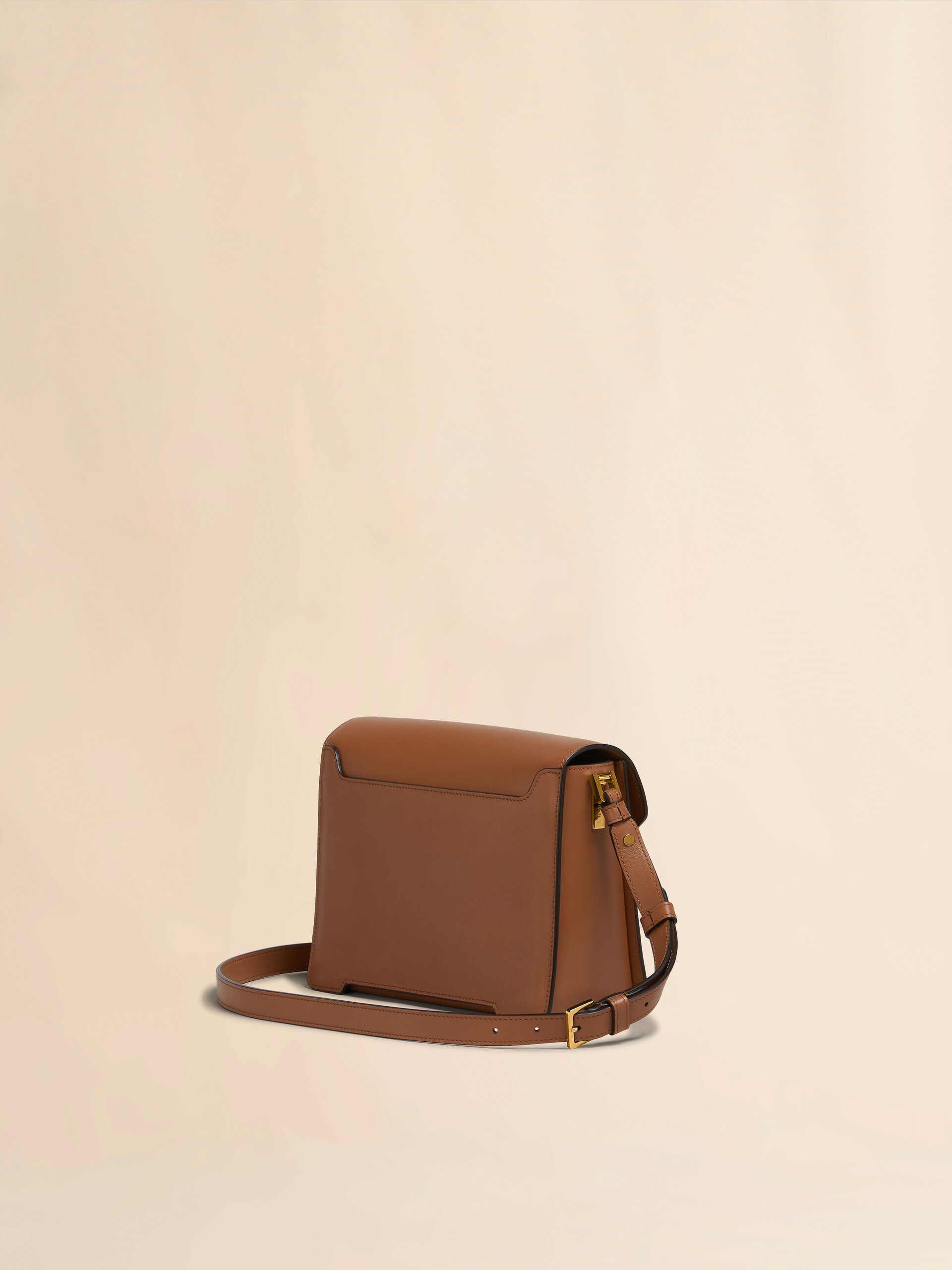 Brown leather Trunkaroo medium shoulder bag | Marni