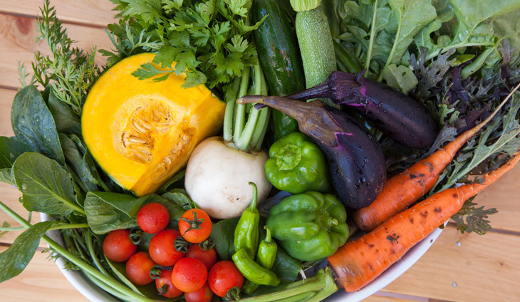 スープメーカースープの力 | 製品ラインナップ | 調理器やスープ