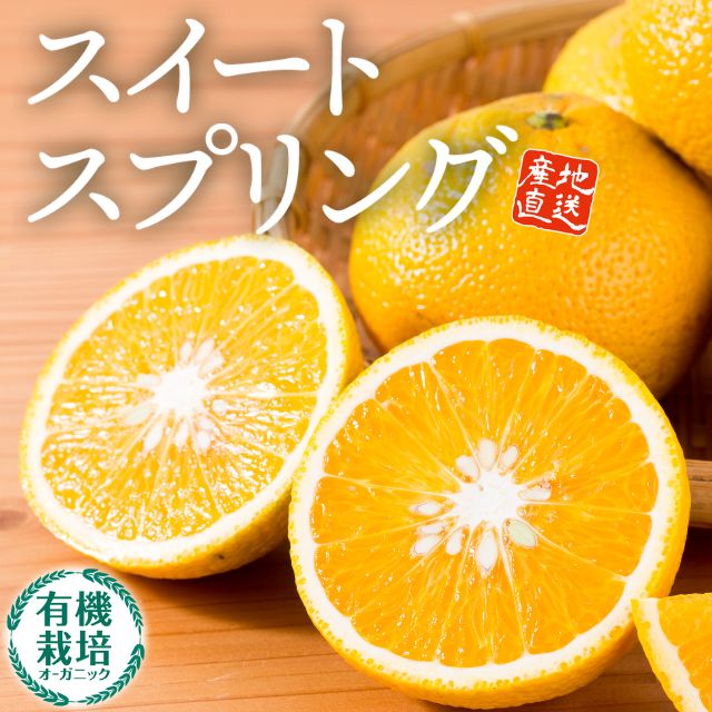 有機栽培 スイートスプリング】八朔と温州みかんの掛け合わせで生まれ