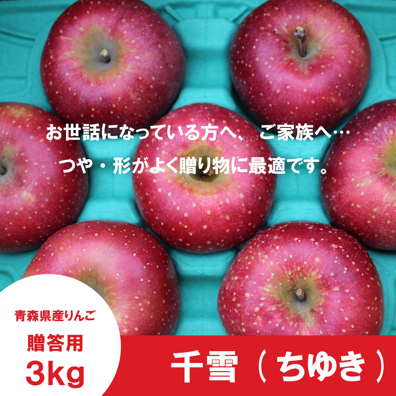 千雪【贈答用3kg】｜まさひろ林檎園