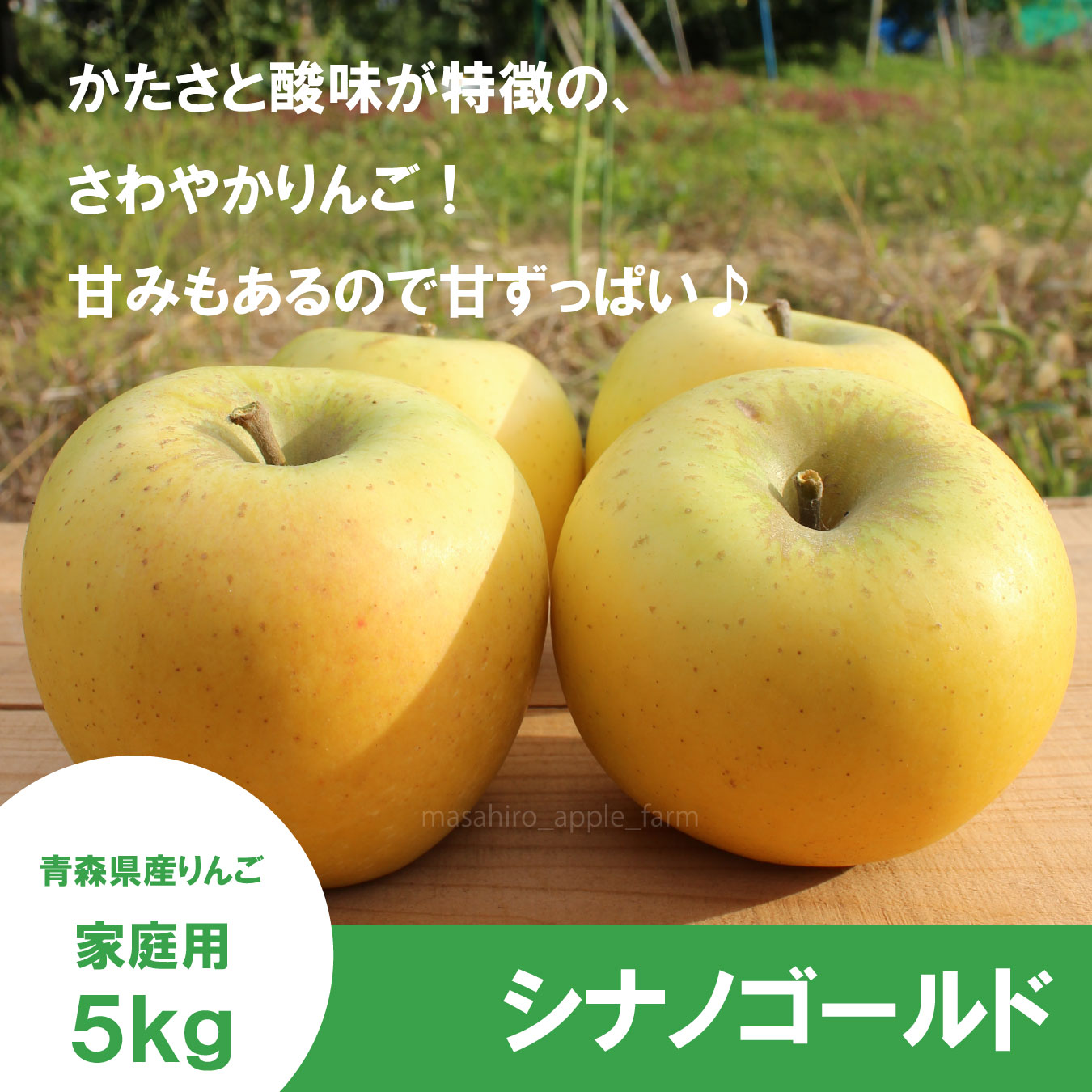 シナノゴールド【家庭用5kg】｜まさひろ林檎園