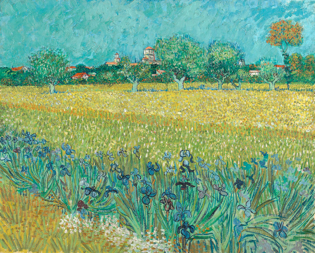 Field with Flowers Near Arles, 1888 | McGaw Graphics