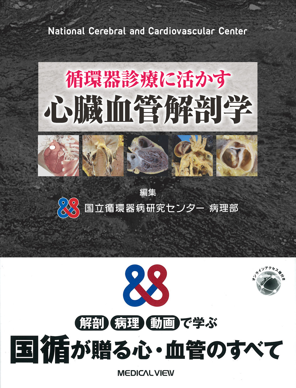 メジカルビュー社｜循環器内科｜循環器診療に活かす 心臓血管解剖学