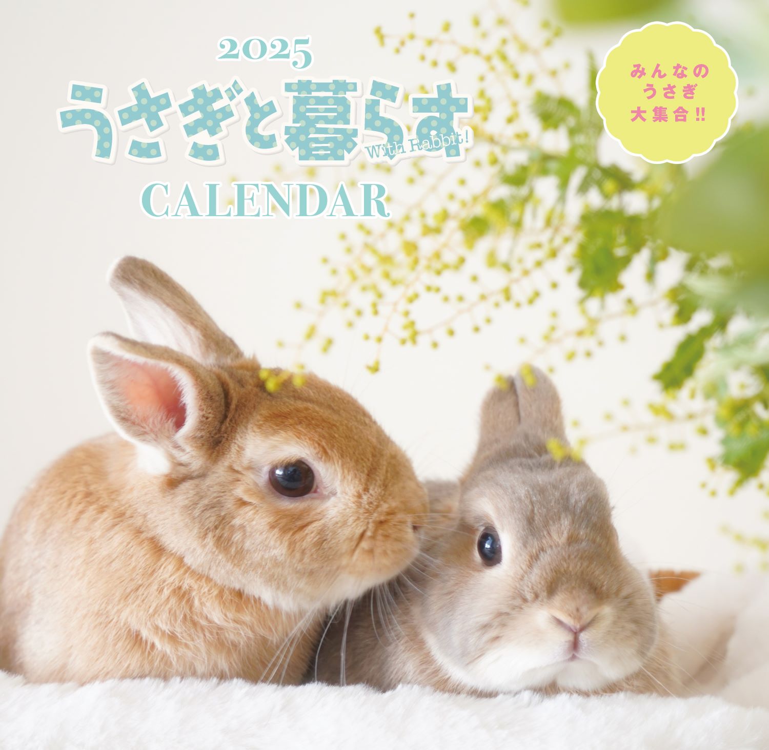 うさぎと暮らす No97（2025年Autumn） | メディアパル