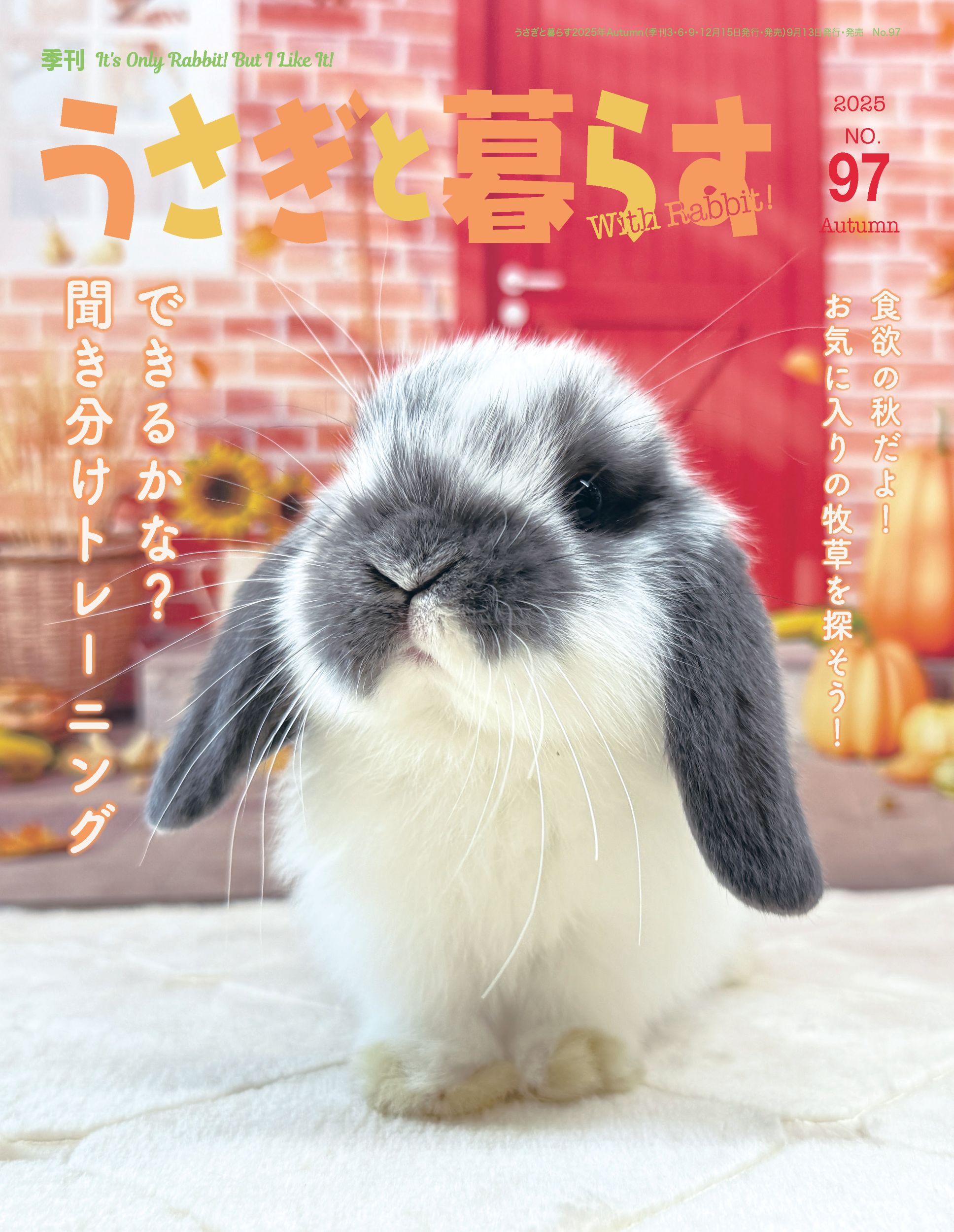 うさぎと暮らす No97（2025年Autumn） | メディアパル