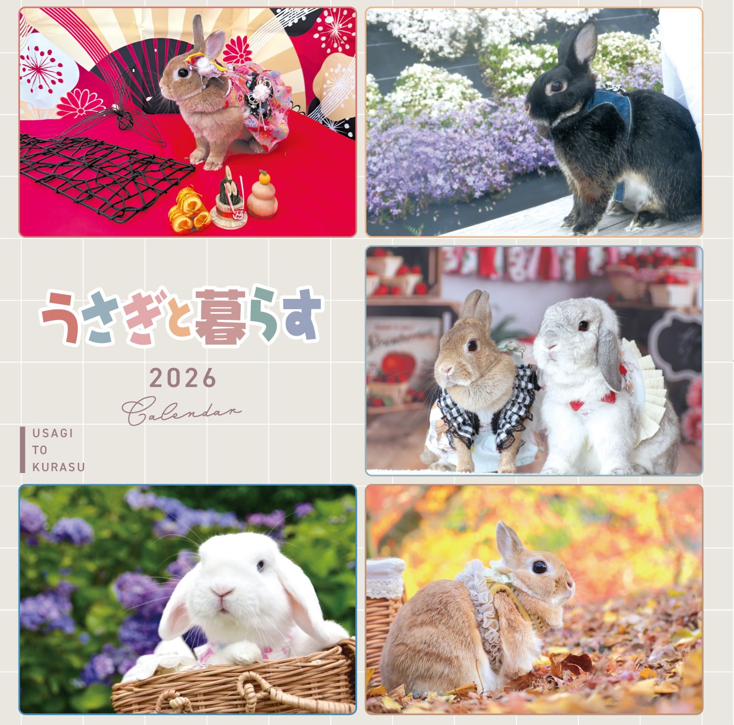 うさぎと暮らす No97（2025年Autumn） | メディアパル