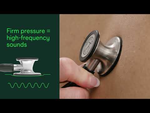 3M™ Littmann® CORE Digital Stethoscope - 8570 High Polish Rainbow