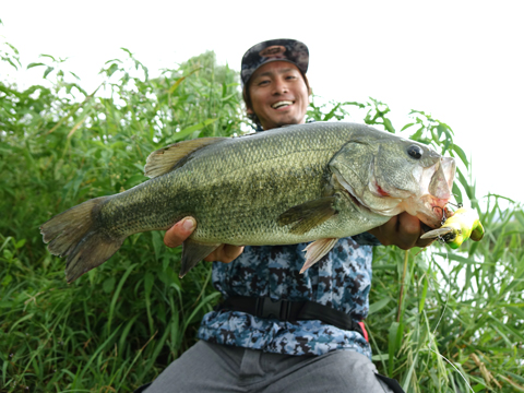 GONG / GONG Jr. | Megabass-メガバス