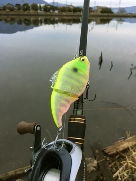 リアクション！！ | Megabass-メガバス