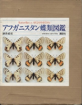 明倫館書店 / アフガニスタン蝶類図鑑