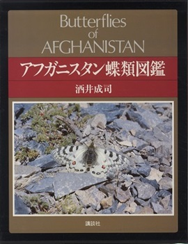 明倫館書店 / アフガニスタン蝶類図鑑